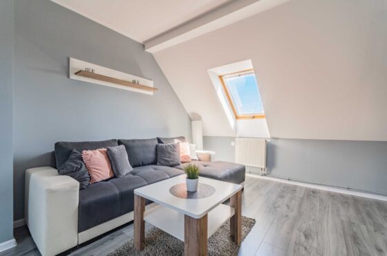 Komfortowy, dwupokojowy Apartament