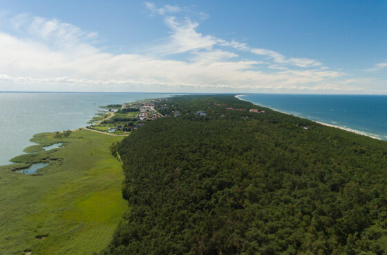 Góra Pirat i Wielbłądzi Garb – perły krajobrazowe Mierzei Wiślanej