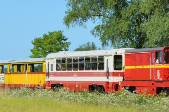 Żuławska Kolej Dojazdowa – podróż w czasie przez serce Żuław